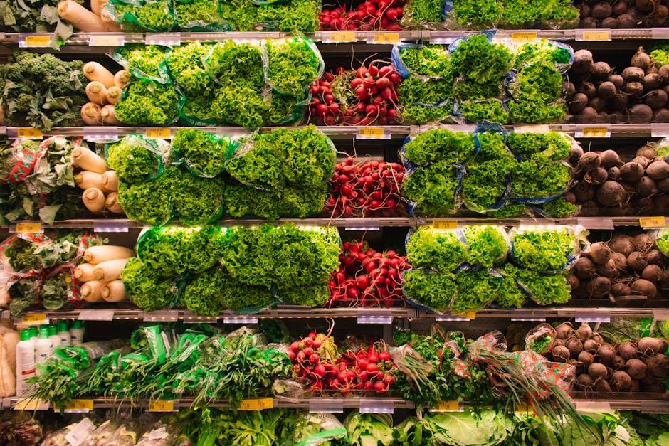 Unlock Savings with the Best Grocery Reward Credit Cards in the USA