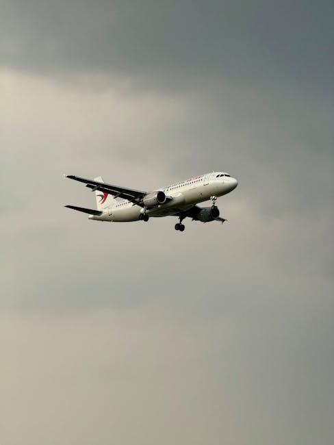 Choosing the Right Card: A Comparison of Top Airline Options