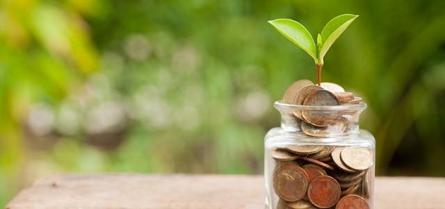 Exploring the Foundations of Micro-Investing for Financial Growth