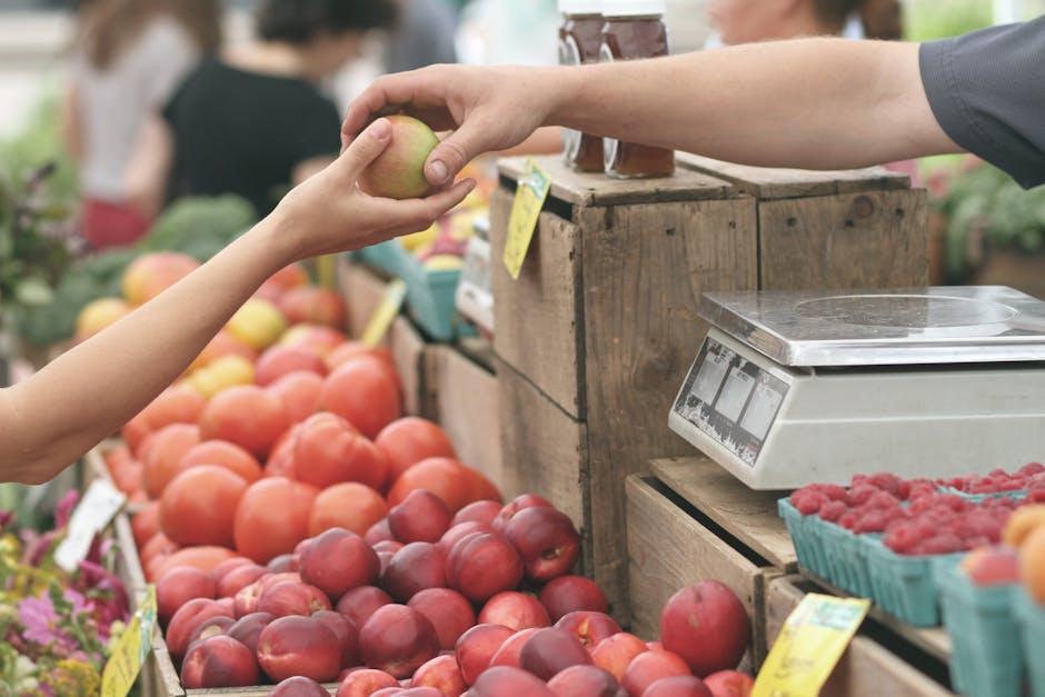 Recommended Grocery Reward Credit Cards for Every Shopper