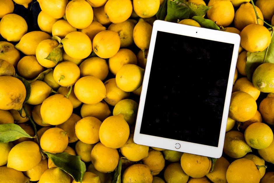 Effortlessly Move Your Data to a New iPad with These Steps