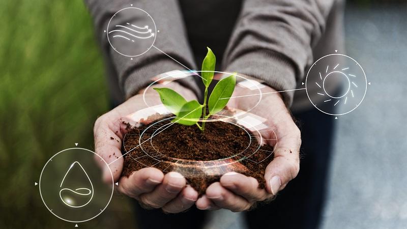 Exploring Sustainable Sourcing Practices for the Modern Brew