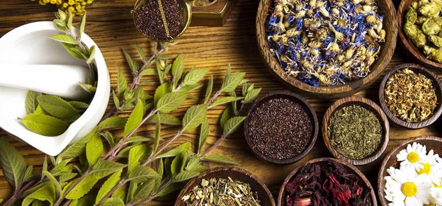 Exploring Natural Ingredients for Skincare Solutions