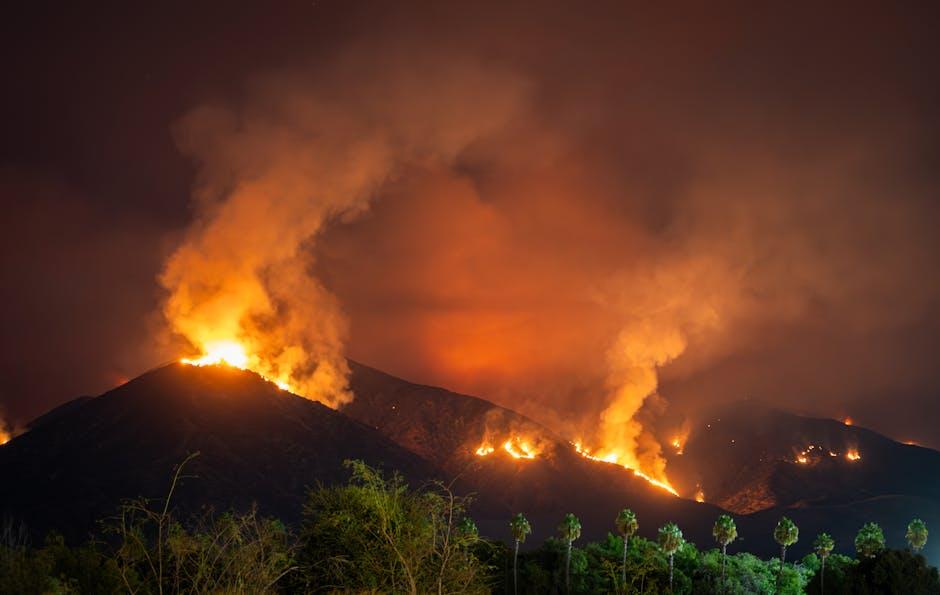 Navigating After an Emergency: What to Do Next