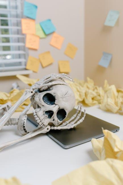 Organizing Your Inbox for Maximum Efficiency