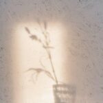 Simple Ways to Practice Mindfulness at Home