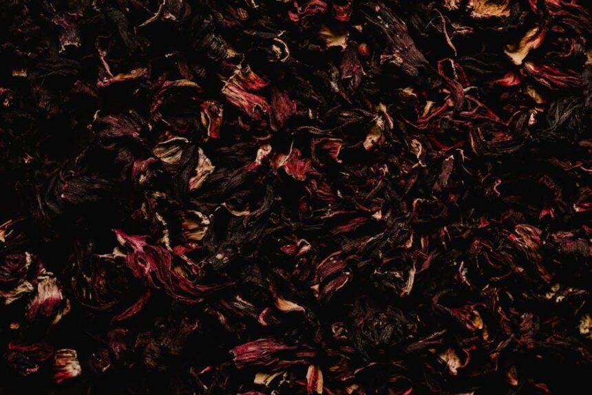 Cómo preparar sus propias infusiones