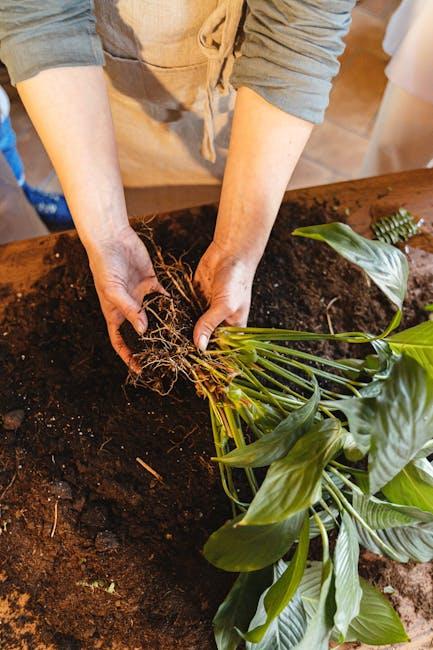 Eco-Friendly Habits for Everyday Living