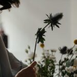 How to Create a DIY Herb Garden