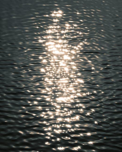The Calming Effects of Natural Sunlight on the Mind