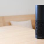 How voice AI changes online search