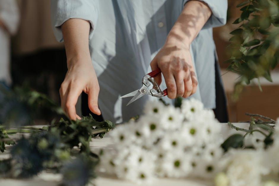 Essential Tools and Materials for a Successful Start