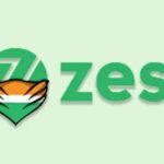 Evaluating Safety in ZestMoney and Amazon Pay Later Options