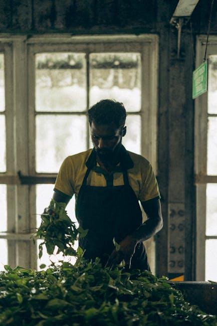 Best Practices for Manufacturers Committed to Eco-Friendly Development